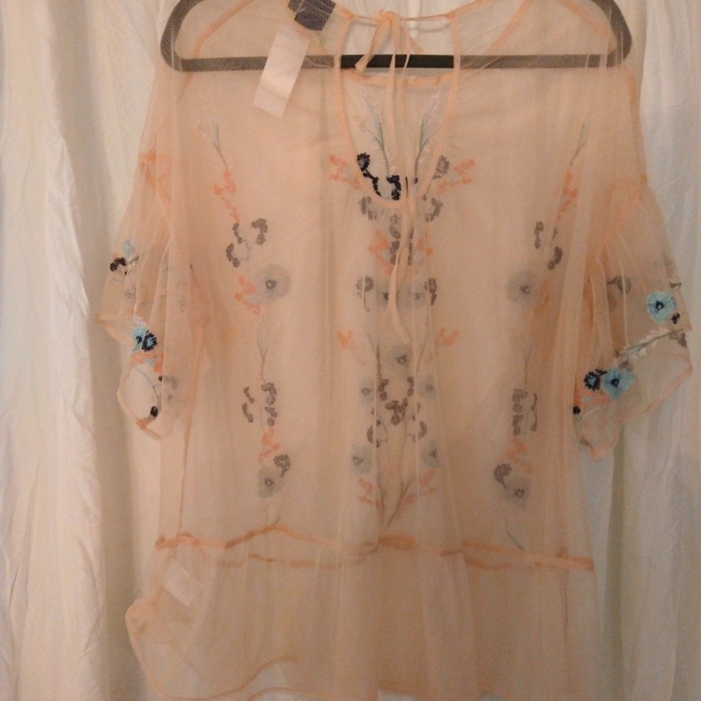Kaari Blue Curvy Sheer‎ Pink Embroidered Blouse